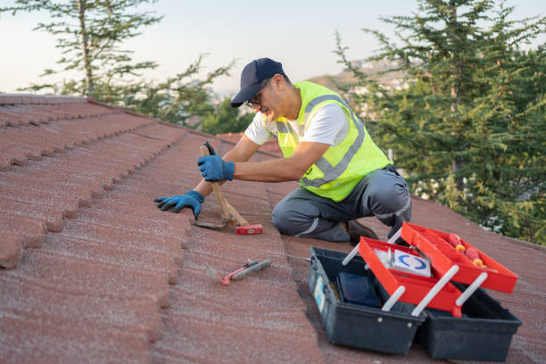 Best Roof Repair Services  in Valley Springs, CA